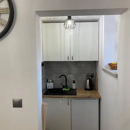 Daire Zakopartment Zamoyskiego Zakopane