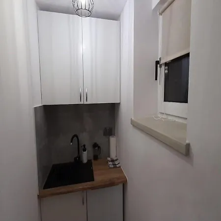 Zakopartment Zamoyskiego アパート ザコパネ