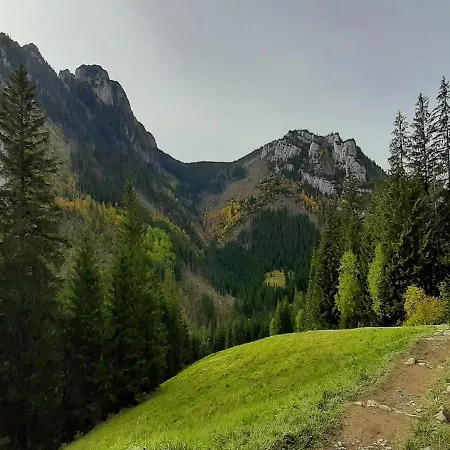 Appartement Zakopartment Zamoyskiego