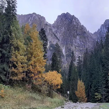 Zakopartment Zamoyskiego Lejlighed *