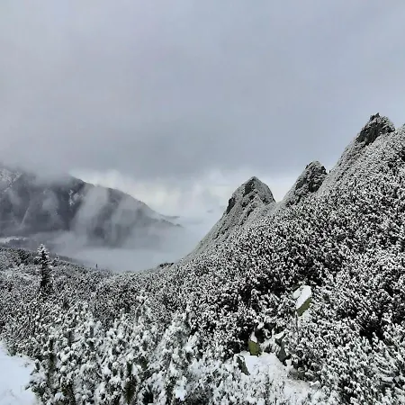 Lejlighed Zakopartment Zamoyskiego *